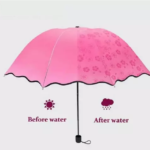 Magic Umbrella