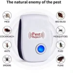 Pest Control