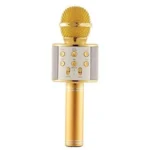 Mic