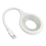 Voice Control USB Light
