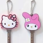 Key Protector Cover 2pc Random Design