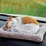 Sleeping Cat