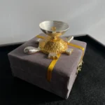 Tortoise Diya With Box Gift Pack