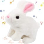 Rabbit Toy Random